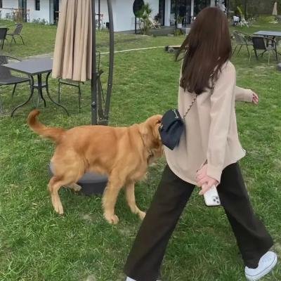 我可能不会爱你